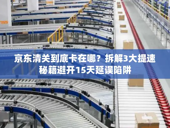 京东清关到底卡在哪？拆解3大提速秘籍避开15天延误陷阱