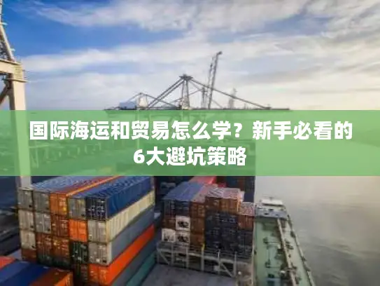 国际海运和贸易怎么学？新手必看的6大避坑策略