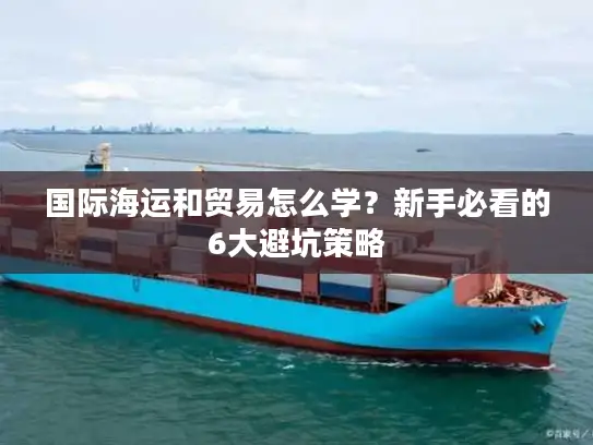 国际海运和贸易怎么学？新手必看的6大避坑策略