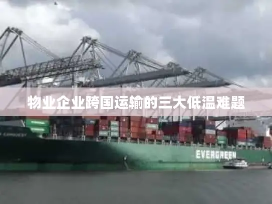 物业企业跨国运输的三大低温难题