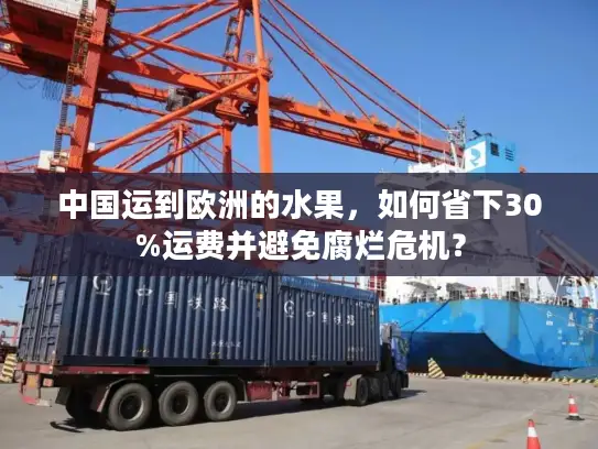中国运到欧洲的水果，如何省下30%运费并避免腐烂危机？