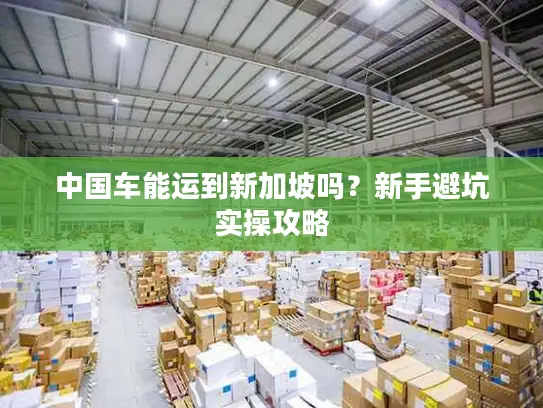 中国车能运到新加坡吗？新手避坑实操攻略