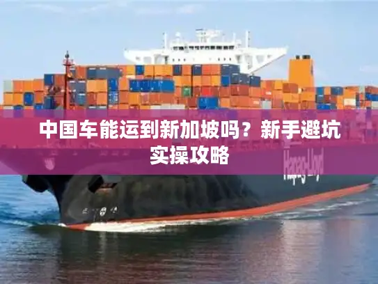 中国车能运到新加坡吗？新手避坑实操攻略