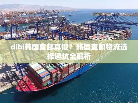dibi韩国直邮真假？韩国直邮物流选择避坑全解析