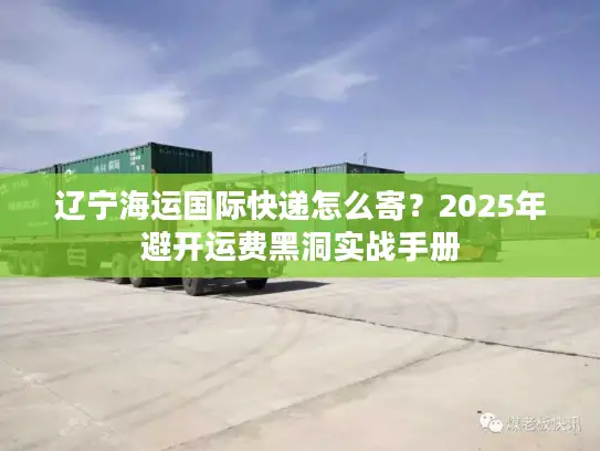 辽宁海运国际快递怎么寄？2025年避开运费黑洞实战手册