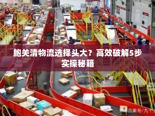 鲍关清物流选择头大？高效破解5步实操秘籍
