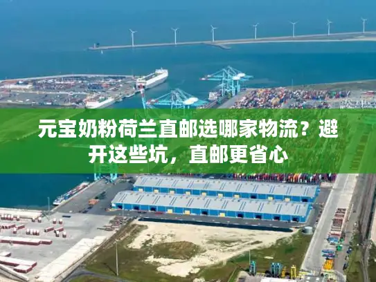 元宝奶粉荷兰直邮选哪家物流？避开这些坑，直邮更省心