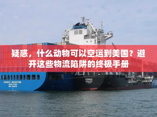 疑惑，什么动物可以空运到美国？避开这些物流陷阱的终极手册