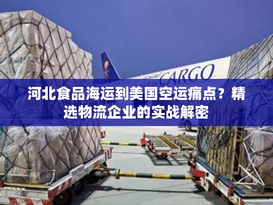 河北食品海运到美国空运痛点？精选物流企业的实战解密