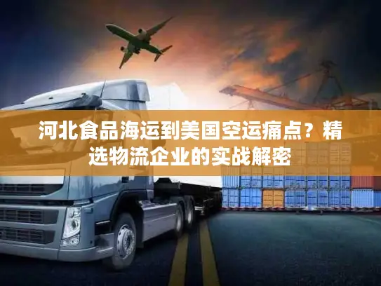 河北食品海运到美国空运痛点？精选物流企业的实战解密