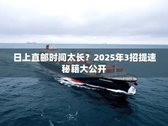 日上直邮时间太长？2025年3招提速秘籍大公开