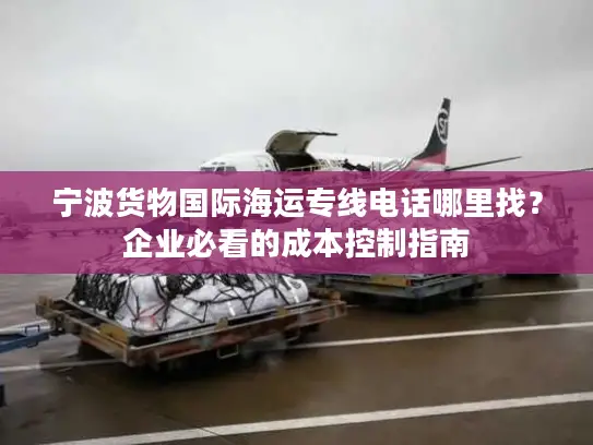 宁波货物国际海运专线电话哪里找？企业必看的成本控制指南