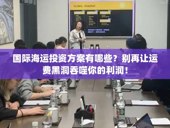 国际海运投资方案有哪些？别再让运费黑洞吞噬你的利润！