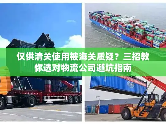 仅供清关使用被海关质疑？三招教你选对物流公司避坑指南