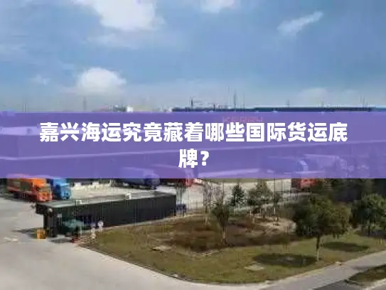 嘉兴海运究竟藏着哪些国际货运底牌？