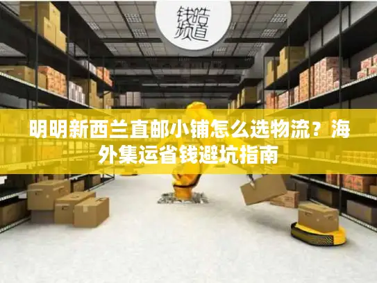 明明新西兰直邮小铺怎么选物流？海外集运省钱避坑指南