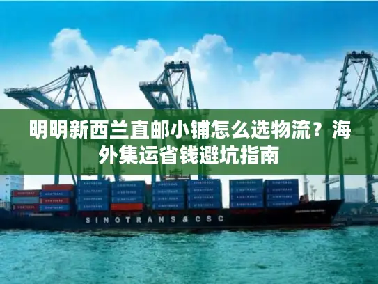 明明新西兰直邮小铺怎么选物流？海外集运省钱避坑指南
