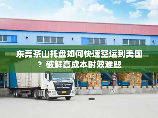 东莞茶山托盘如何快速空运到美国？破解高成本时效难题