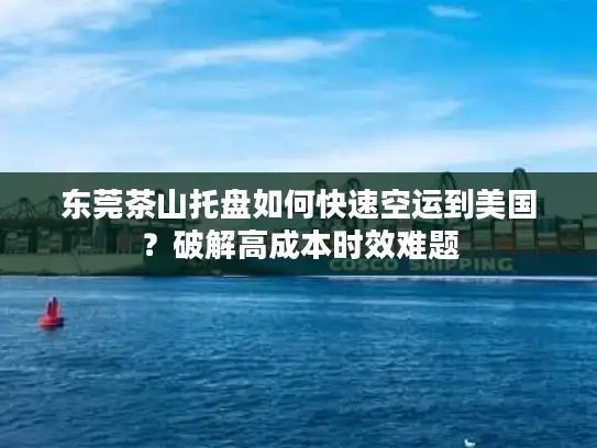 东莞茶山托盘如何快速空运到美国？破解高成本时效难题
