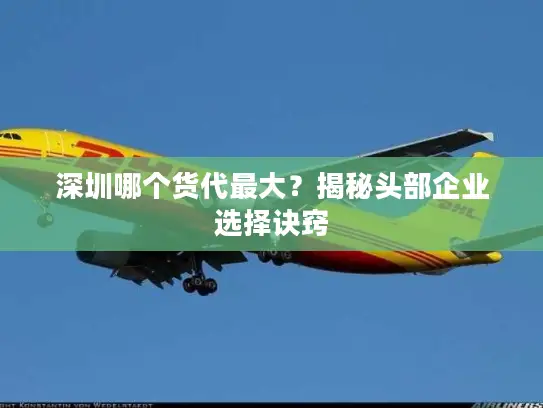 深圳哪个货代最大？揭秘头部企业选择诀窍