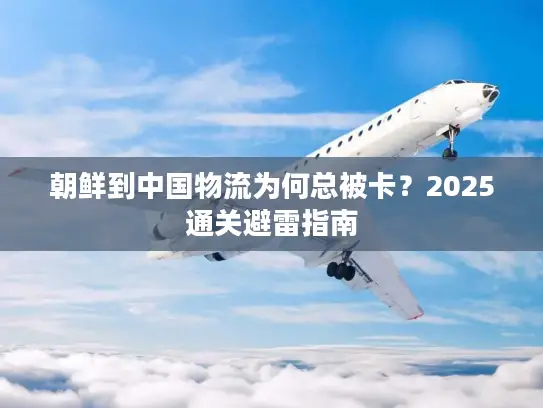 朝鲜到中国物流为何总被卡？2025通关避雷指南