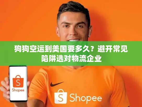 狗狗空运到美国要多久？避开常见陷阱选对物流企业