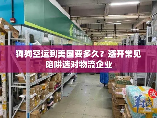 狗狗空运到美国要多久？避开常见陷阱选对物流企业