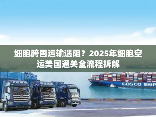 细胞跨国运输遇阻？2025年细胞空运美国通关全流程拆解