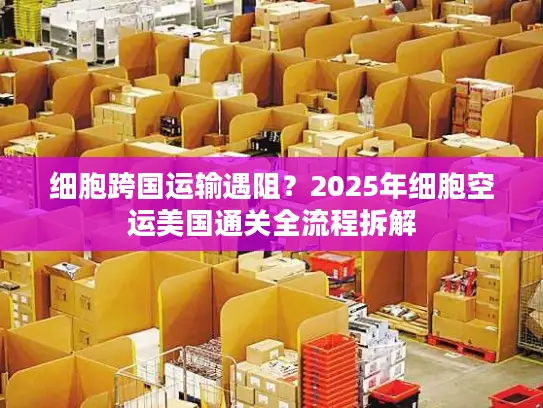 细胞跨国运输遇阻？2025年细胞空运美国通关全流程拆解