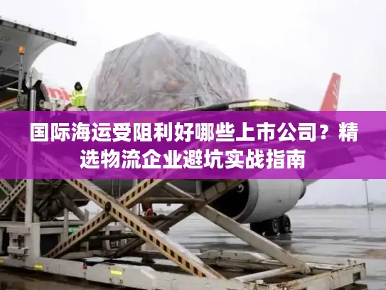 国际海运受阻利好哪些上市公司？精选物流企业避坑实战指南