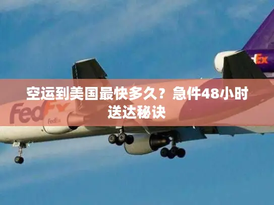 空运到美国最快多久？急件48小时送达秘诀