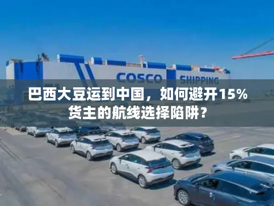 巴西大豆运到中国，如何避开15%货主的航线选择陷阱？