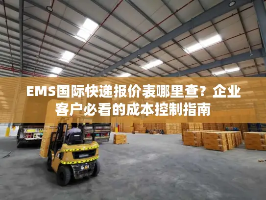 EMS国际快递报价表哪里查？企业客户必看的成本控制指南