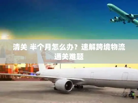 清关 半个月怎么办？速解跨境物流通关难题