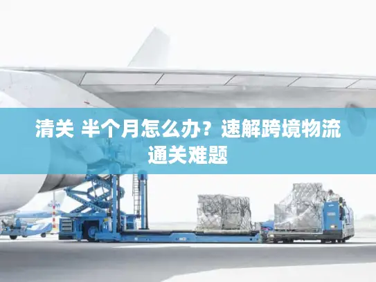 清关 半个月怎么办？速解跨境物流通关难题
