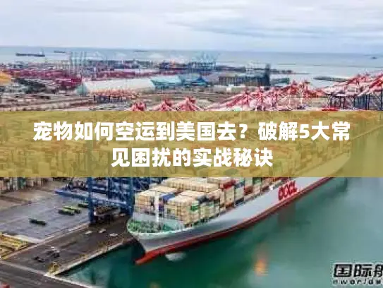 宠物如何空运到美国去？破解5大常见困扰的实战秘诀