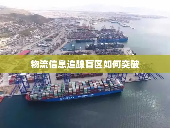 物流信息追踪盲区如何突破