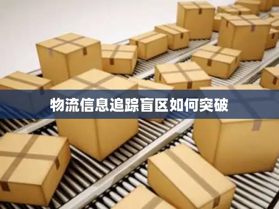 物流信息追踪盲区如何突破