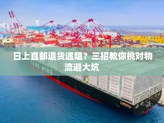 日上直邮退货遇阻？三招教你挑对物流避大坑