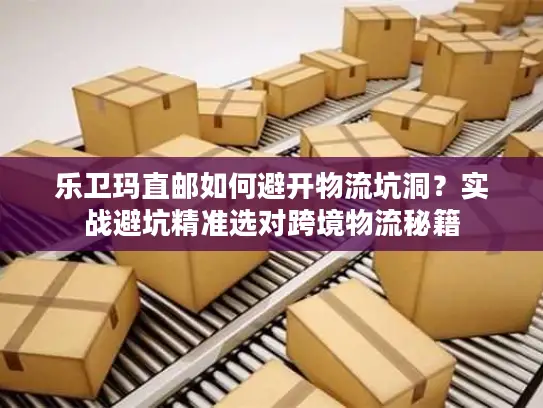 乐卫玛直邮如何避开物流坑洞？实战避坑精准选对跨境物流秘籍