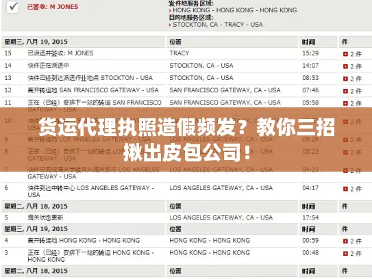 货运代理执照造假频发？教你三招揪出皮包公司！