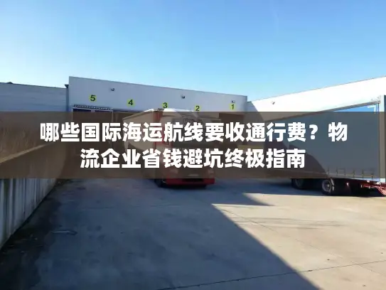 哪些国际海运航线要收通行费？物流企业省钱避坑终极指南