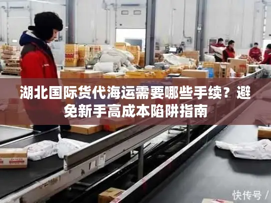湖北国际货代海运需要哪些手续？避免新手高成本陷阱指南