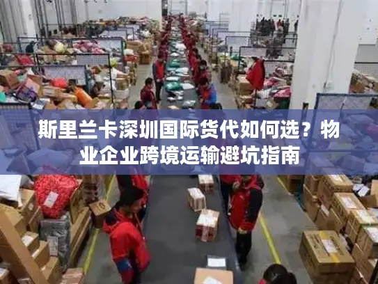 斯里兰卡深圳国际货代如何选？物业企业跨境运输避坑指南