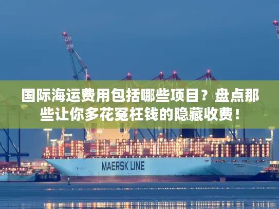 国际海运费用包括哪些项目？盘点那些让你多花冤枉钱的隐藏收费！
