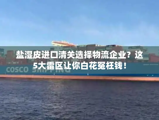 盐湿皮进口清关选择物流企业？这5大雷区让你白花冤枉钱！