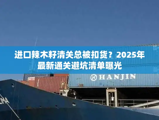 进口辣木籽清关总被扣货？2025年最新通关避坑清单曝光