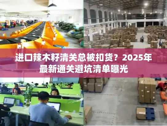 进口辣木籽清关总被扣货？2025年最新通关避坑清单曝光