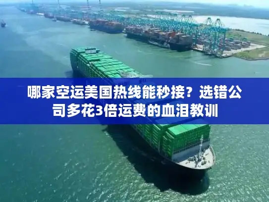 哪家空运美国热线能秒接？选错公司多花3倍运费的血泪教训