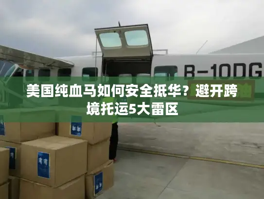 美国纯血马如何安全抵华？避开跨境托运5大雷区